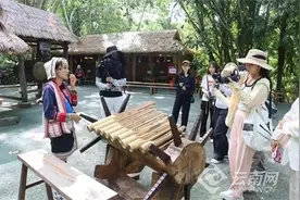 【“象”往之地的绿野之歌】山寨和雨林里的“爱情故事”图片