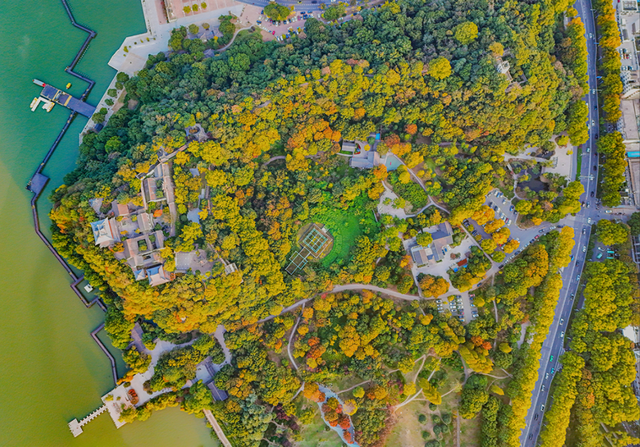 镇江，你变了！