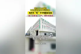 武汉千子山园区有机质固废项目启动运营，每天可“吃”下千吨垃圾，“变”出柴油、沼气、肥料和电能图片