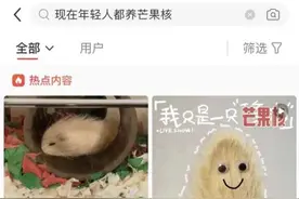 当代年轻人已经开始养“芒狗”了？图片