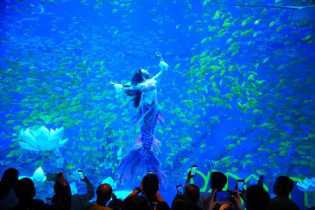 中牟文旅产业“裂变”激活经济新动能