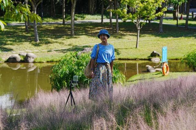成片粉黛乱子草花海梦幻上线！这些公园火了！