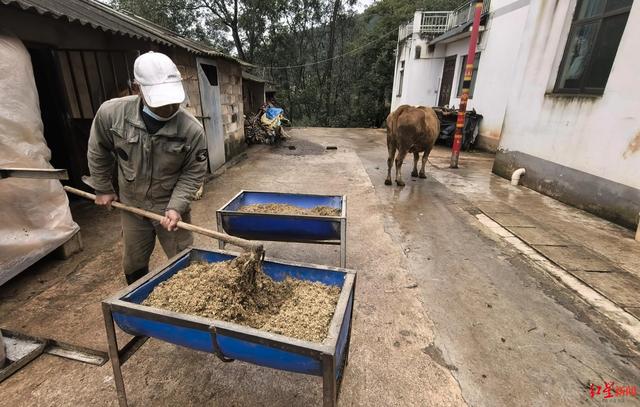 百万粉丝网红小英“离婚风波	”未平	，丈夫肇事逃逸被刑拘 记者探访：夫妻已数月未住村里