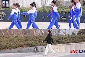 时政长镜头｜十年树木 百年树人视频封面