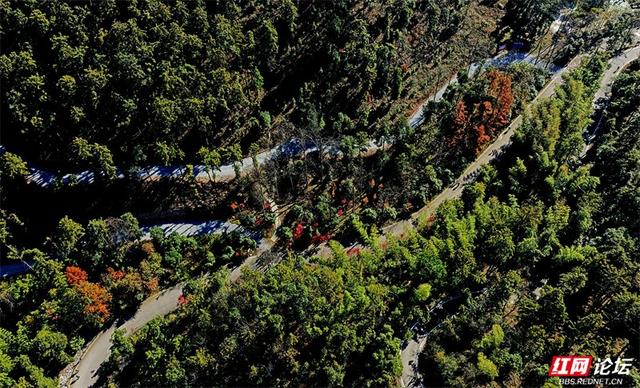 岁暖时刻丨无需远行，中坡山便是怀化的诗与远方