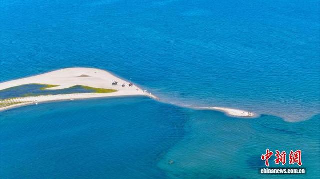 非洲青年在青海湖畔感受人与自然和谐共生