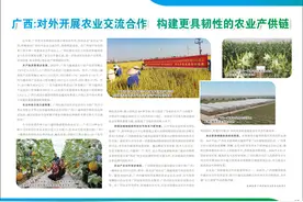 广西：对外开展农业交流合作  构建更具韧性的农业产供链图片