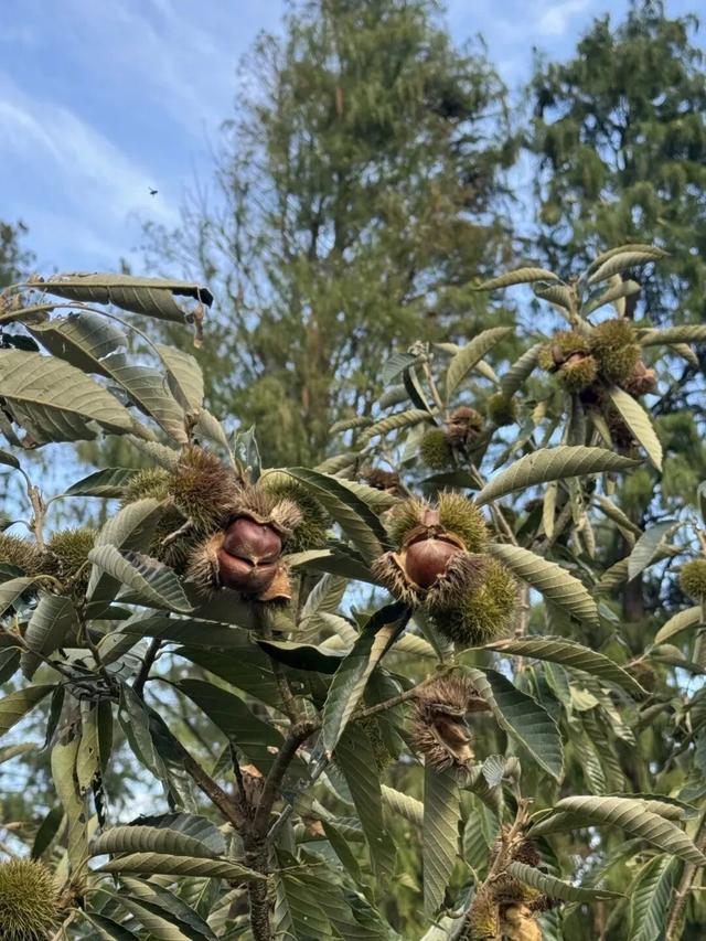 街头大量出现！武进人都去......