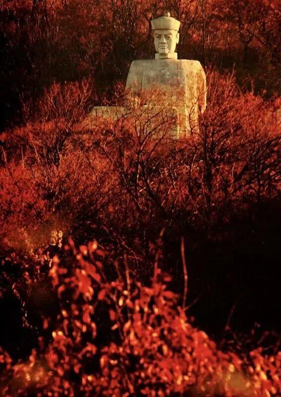 藏不住啦！延边这些“顶流”都是秋色巅峰
