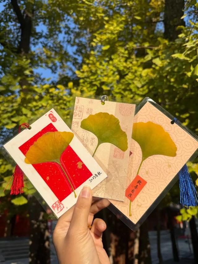 绝美！北京秋季颜值已达巅峰！这样定格最美秋天！