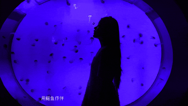 初秋“疯”玩指南来啦！“玩海神票”三重暴击、“爱青游校园体验官”招募......赶紧来把快乐收入囊中！