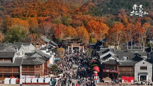 最热闹的戏配最火红的叶，本周末不来栖霞山血亏！