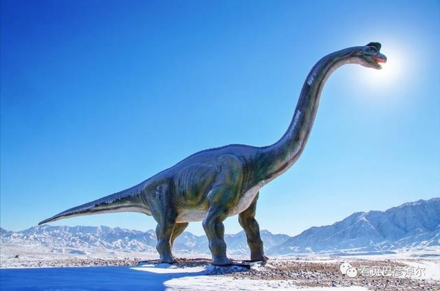 巴彦淖尔这座城，比你想象的更“宝藏”