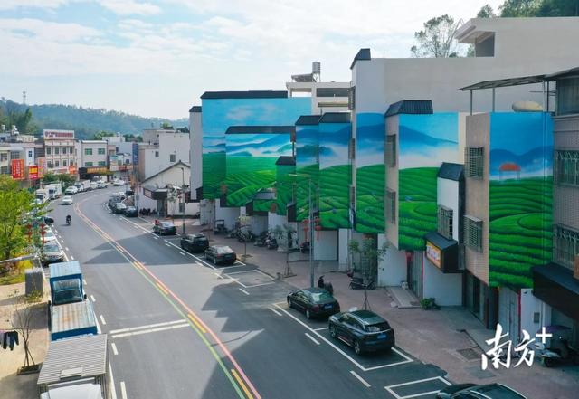 穿越万亩茶园，紫金龙窝首届徒步活动吸引千人打卡“蝉茶小镇”