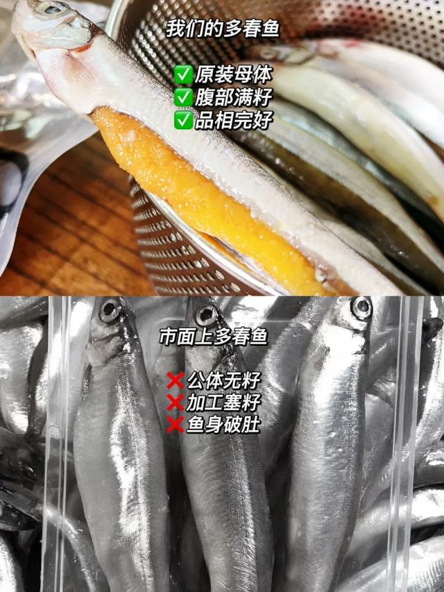 一口鲜掉脑袋的高蛋白“炸弹”！挪威进口满籽多春鱼蹦蹦蹦蹦蹦籽了！