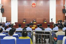 4人猎杀“鸟中大熊猫”东方白鹳案一审宣判  4人被判5年3个月至4年不等刑期图片