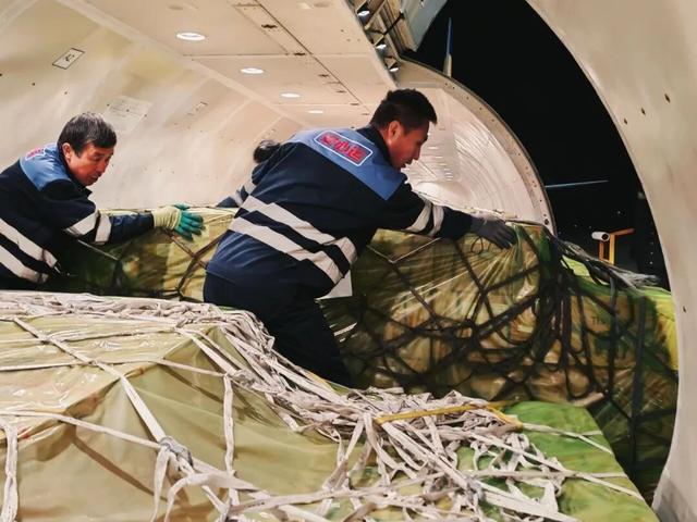 泰国柚子、泰国椰青……热带美味从曼谷直飞鄂尔多斯！