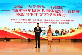 合肥理工学校举行各族青少年文艺交流活动图片