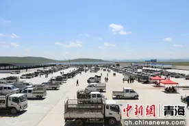 河南县出台牛羊出栏“九项”措施 牧民增收有“靠山”图片