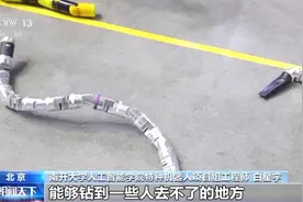 蛇形机器人来了！70+高校前沿科技成果同时亮相图片