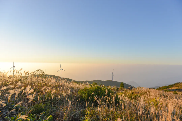 浙西天池严禁穿越，去浙3处“平替”打卡地看同款风景