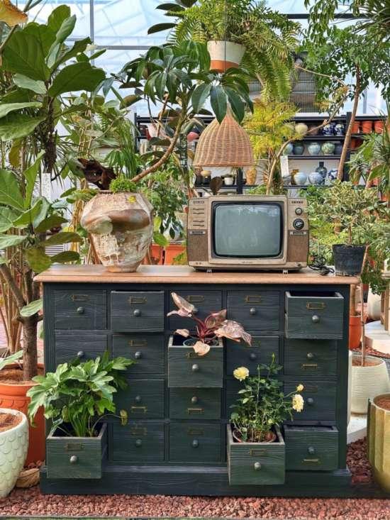 2026沪上年宵花市开逛！“花”式逛出新年味