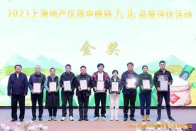 地产大米哪家强？一起去2023年上海地产优质中晚熟大米品鉴评优活动看看吧~图片