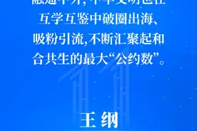 中宣部副部长王纲：以企业形象展示中国形象和大国气象图片
