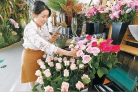 新品种玫瑰七夕登场图片