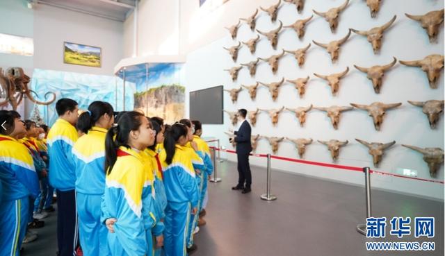 黑龙江青冈：“猛犸象IP”为小城文旅添活力