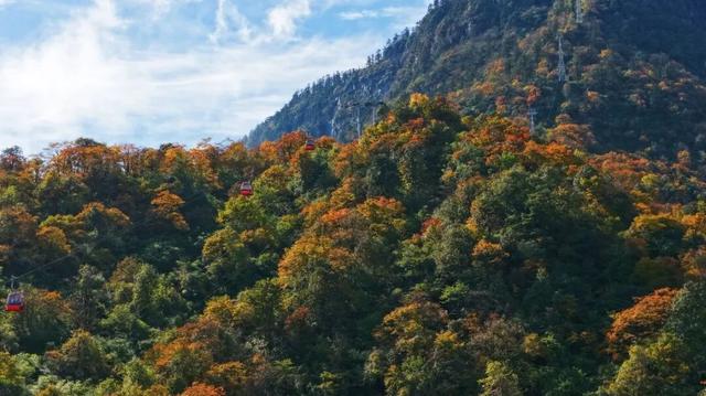 来瓦屋山沉浸式徒步！与漫山秋色撞个满怀！