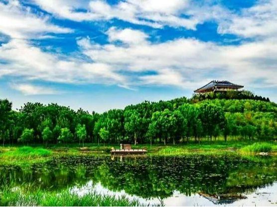 北京号最精彩｜一步一景！通州西海子公园新添超美花海