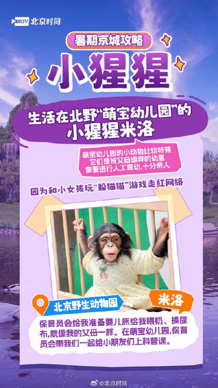 北京网红动物大盘点