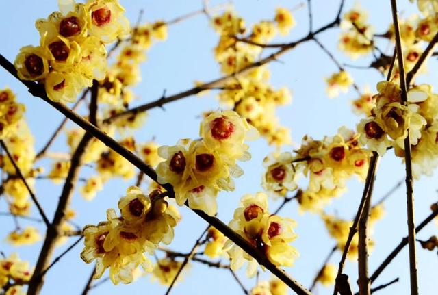 “冬游保康”，藏着整个冬天的浪漫与温暖