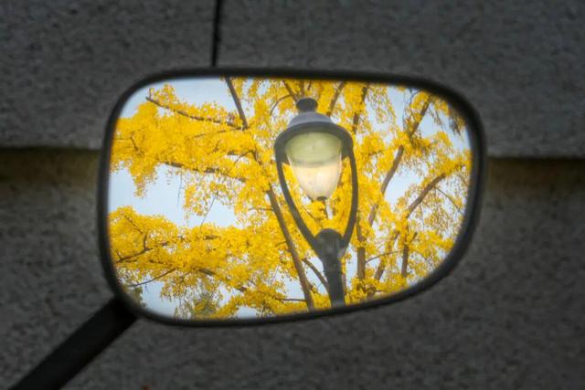 藏不住了！攒了整个秋天的北医美景，立冬前全部分享！