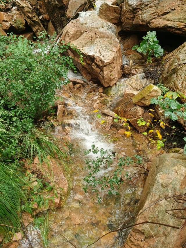 戴发利 || 艾崮山中寻瀑布