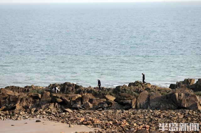 冬日暖阳映海滨