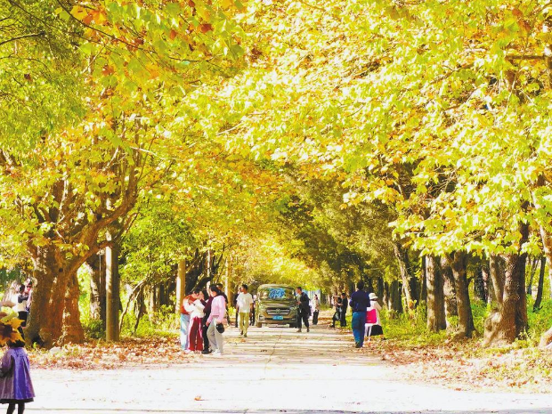 旅居云南 | 冬来风景好 寄情山水间