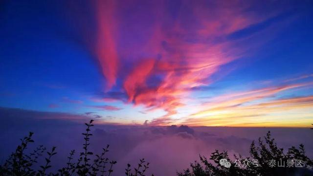 泰山雨霁：云雾织仙境，霞光染群峰，这泼墨山水里藏着夏日最治愈的奔赴