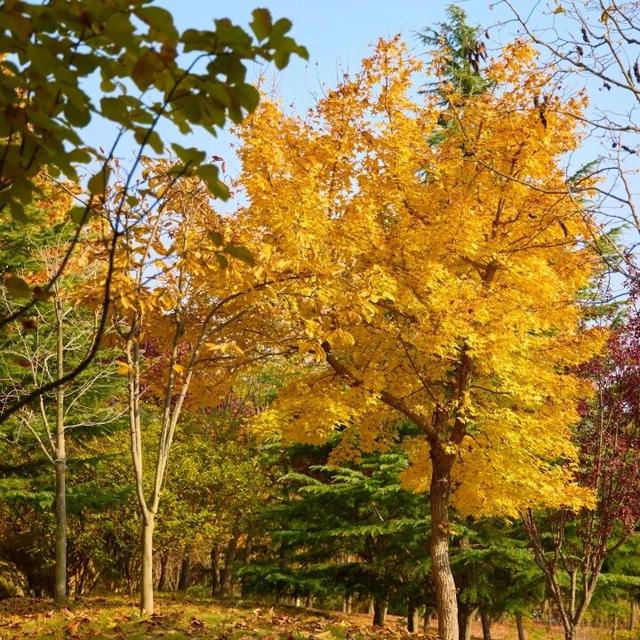 【乳山文旅福利】持乳山南站高铁票，这些景区门票优惠轻松享！