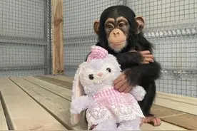 合肥野生动物园最新发布图片