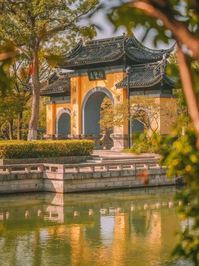 街头大量出现！常州人都已经捡上了