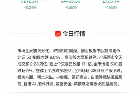 VIP机会日报稀土、小金属迎大涨 栏目解读行业供需格局 提及2家焦点公司20cm涨停图片