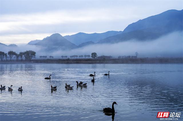 华中屋脊，秋色无边！这里是神农架