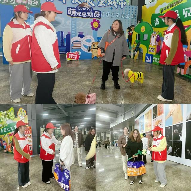 主题打卡、志愿服务、品牌展区…青年发展型城市的宠物博览会亮点多多