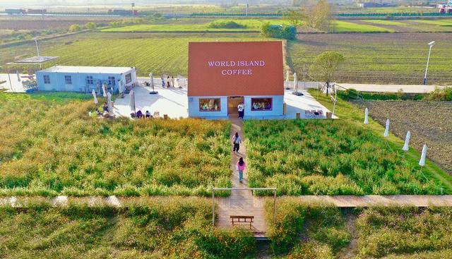 襄城：回归自然乡野！ 这家“村咖”解锁都市人逃离计划