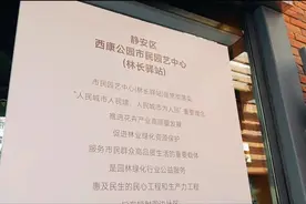 静安园艺云课堂第一期：国家花艺大师教你制作新春家庭花艺！图片