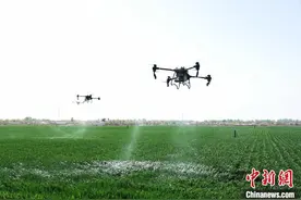 旱情或将持续发展 陕西多地全力防旱抗旱图片