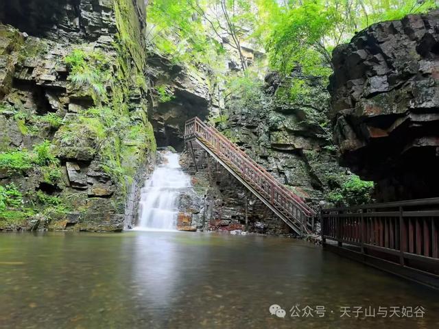 山洪褪去，澄澈归来，天子山景区已开园，快来这里进行一次心灵与自然的洗礼吧！