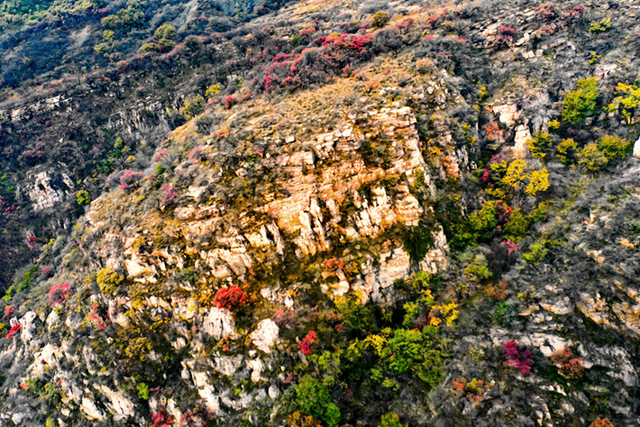 图说遂平：层林尽染红石崖 漫山红叶醉秋风